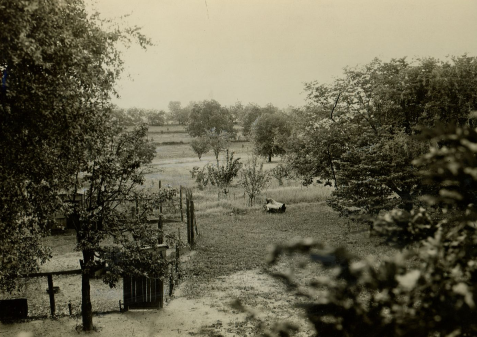 Fruitland Nursery grounds, the future site of the Augusta National Golf Club, Augusta, Georgia, before 1931. Courtesy Digital Library of Georgia
